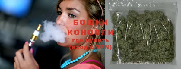 крисы Володарск